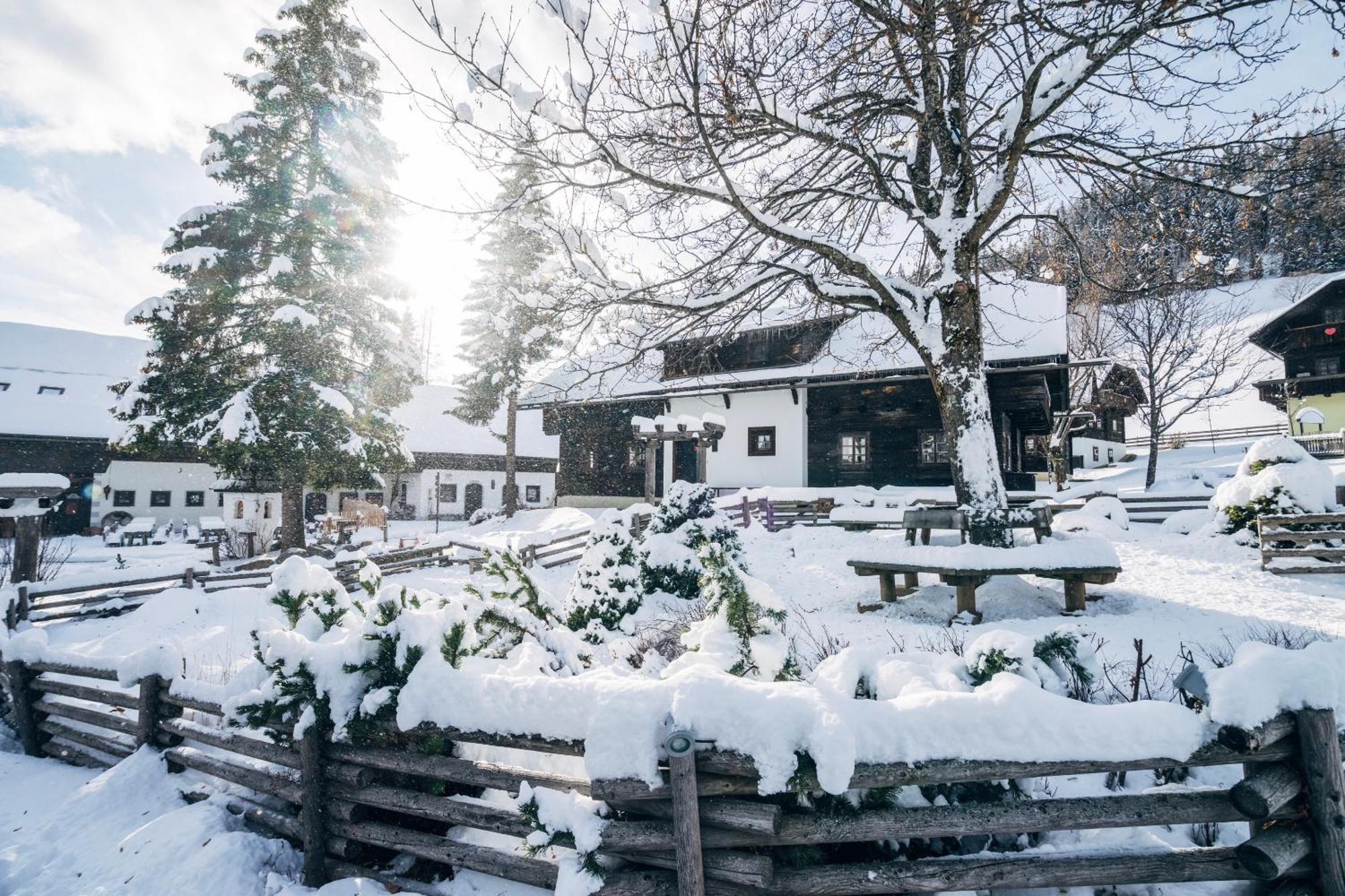 Slow Travel Resort Kirchleitn Bad Kleinkirchheim Extérieur photo